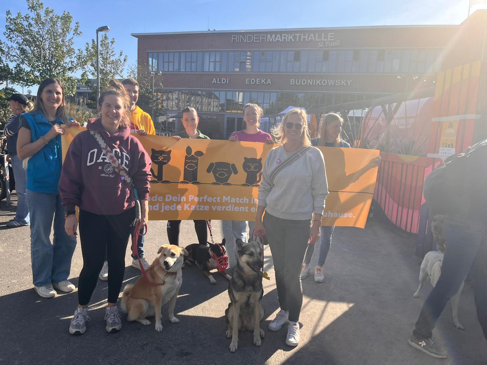 A September to remember: Herzlichen Dank für viele Tierschutzaktionen!